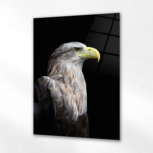 Siyah Fon Profil Kartal Cam Tablo