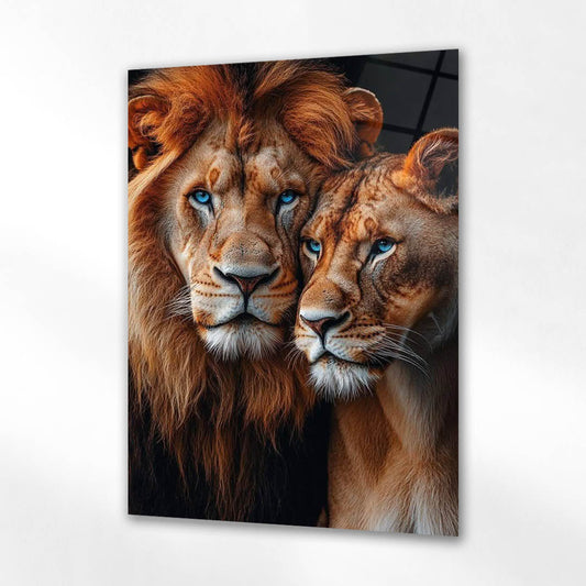 Mavi Gözlü Aslan Çifti Portre Cam Tablo