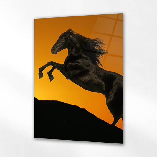 Siyah At Gün Batımı Silüet Cam Tablo