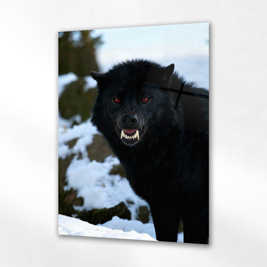 Siyah Kurt Kış Orman Cam Tablo