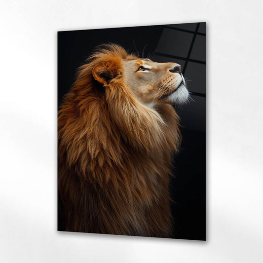 Karanlık Asil Aslan Profil Cam Tablo