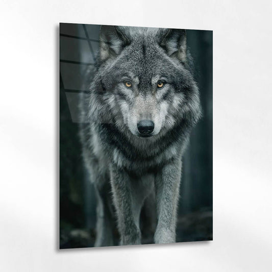 Gizemli Kurt Orman Cam Tablo