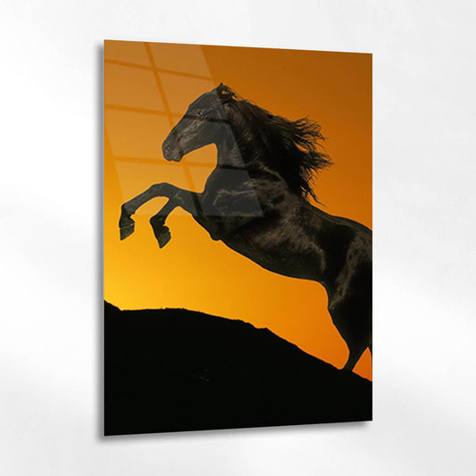 Siyah At Gün Batımı Silüet Cam Tablo