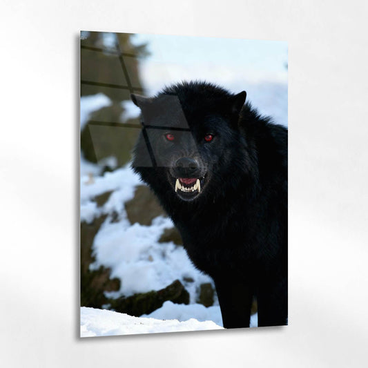 Siyah Kurt Kış Orman Cam Tablo