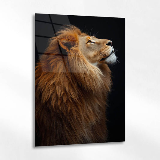 Karanlık Asil Aslan Profil Cam Tablo