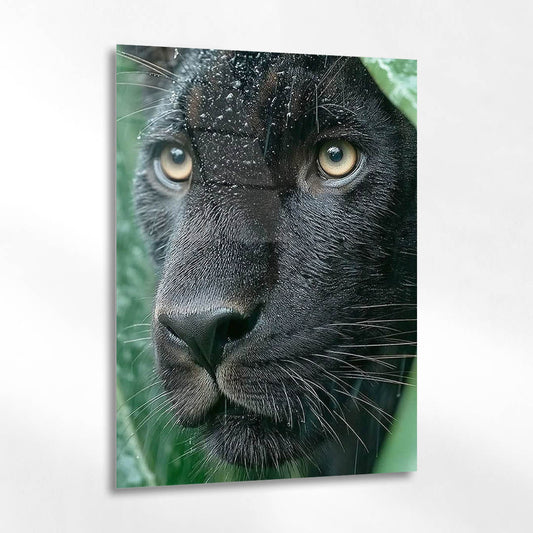Siyah Panther Yağmur Portre Cam Tablo