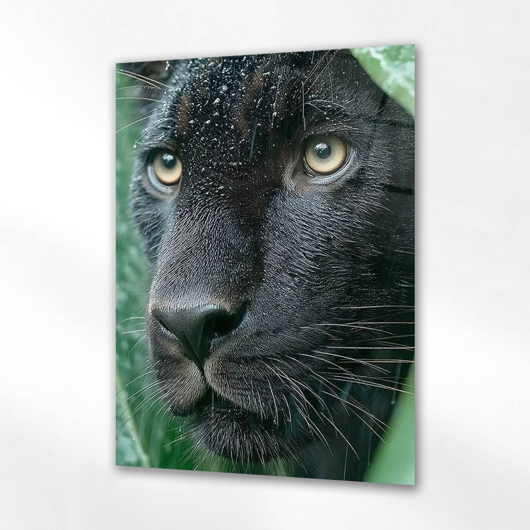 Siyah Panther Yağmur Portre Cam Tablo