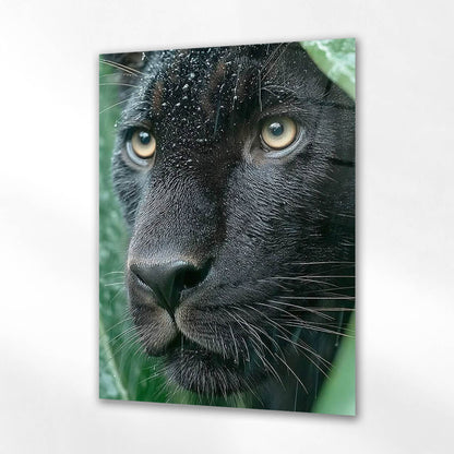 Siyah Panther Yağmur Portre Cam Tablo