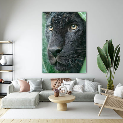 Siyah Panther Yağmur Portre Cam Tablo